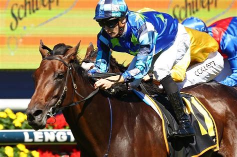 sydney cup field|sydney races saturday.
